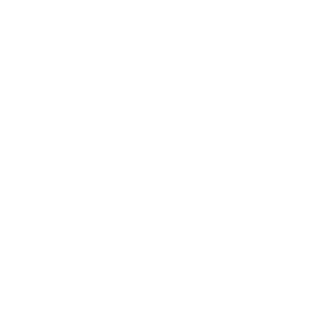 Respect de l'autorité et de la hiérarchie